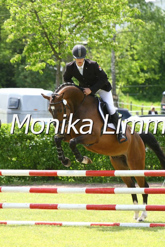 204M0818_Lohes Boy_Spr_Pferde_A.JPG